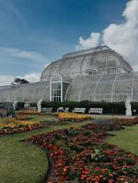 🇬🇧 Kew Gardens | Like Stepping into Monet’s Water Lily Garden