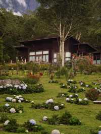 🌸 Spring Garden Kundasang – A Floral Escape in Sabah’s Highlands