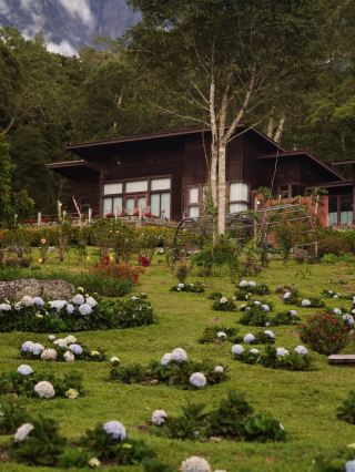 🌸 Spring Garden Kundasang – A Floral Escape in Sabah’s Highlands