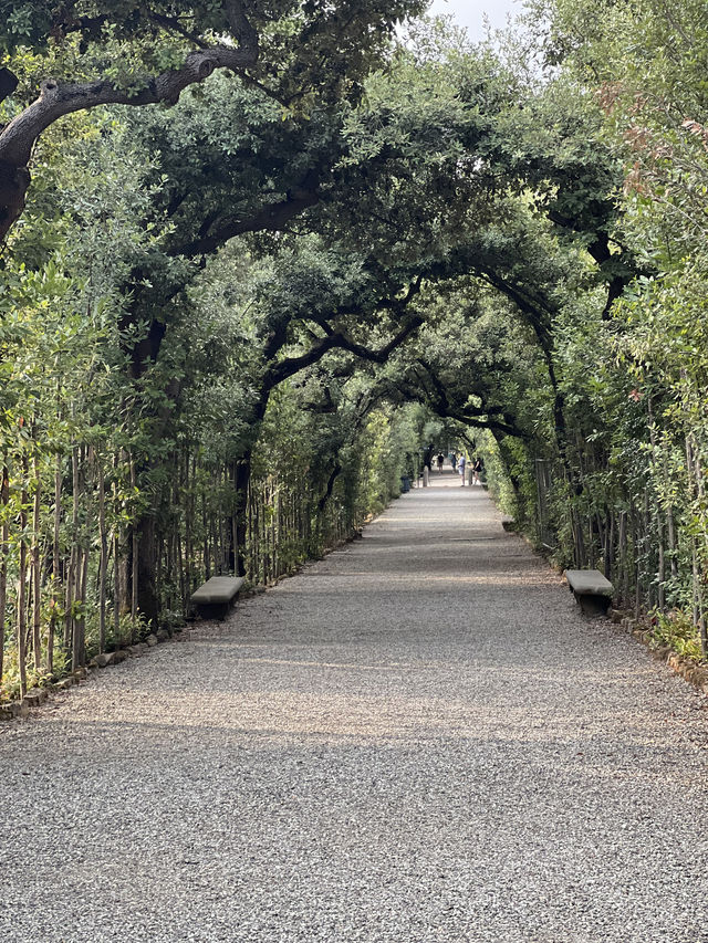🌳 피렌체에서 가장 품격 있는 산책길, 보볼리 가든 (Giardino di Boboli)