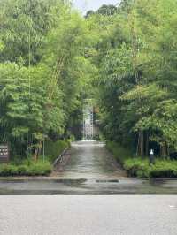 Explore and have a leisurely walk at Jurong Lake Gardens