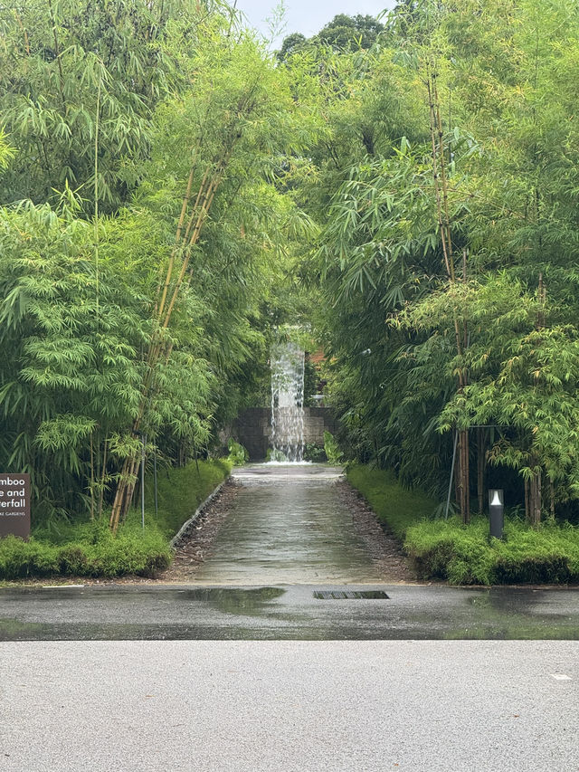 Explore and have a leisurely walk at Jurong Lake Gardens