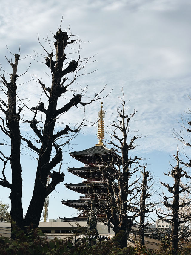 วัดเซ็นโซจิ (Sensoji Temple)🏮✨