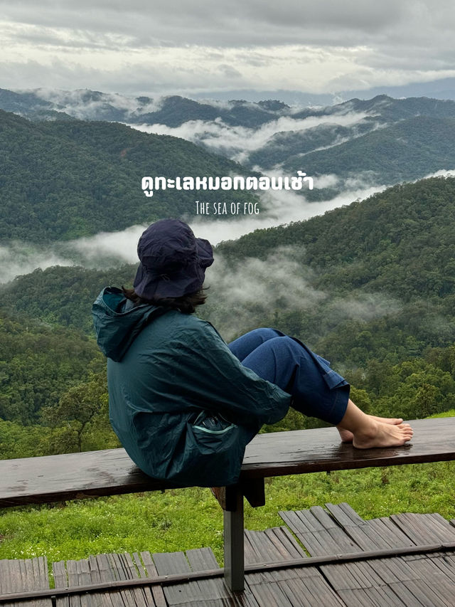 12 กิจกรรมเที่ยวฤดูฝน ⛰️🌳🌧️🍃