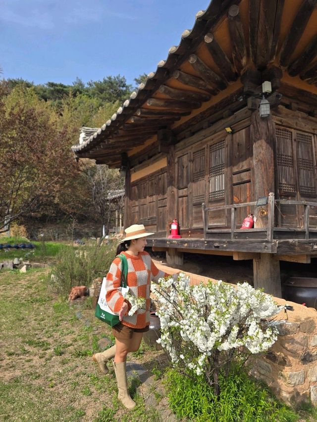 관광주민증 혜택까지 챙기는 영덕여행코스🩷