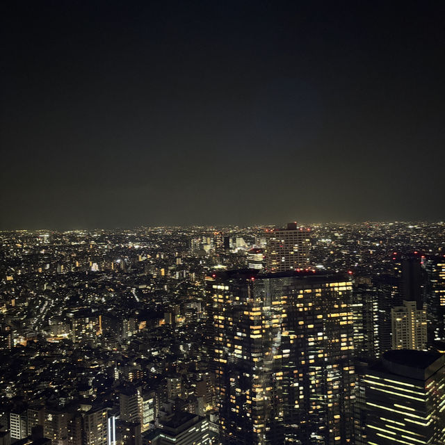 【デートにオススメ】東京 新宿 東京都庁第一本庁舎北展望室 東京の真ん中で無料で絶景が見られるスポット