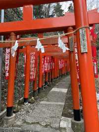 鎌倉充滿狐狸的神秘神社｜佐助稻荷大社！