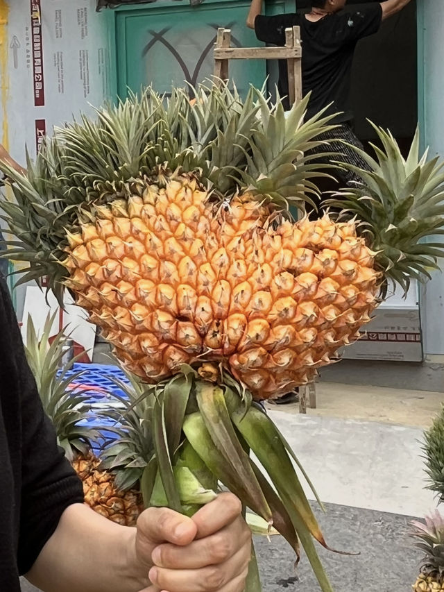 菠蘿的海