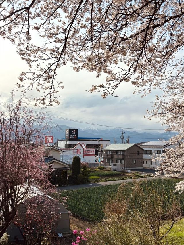 Kobo-yama: Nature's Grand Spring Filter