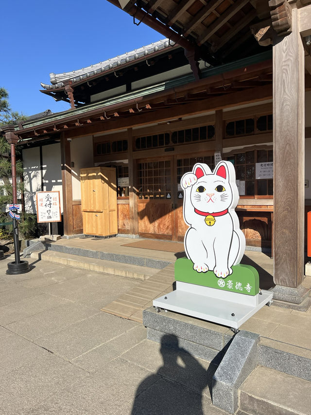 東京充滿招財貓的可愛神社—豪德寺