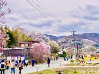 🇯🇵福島 有見過那麼色彩鮮艷的山坡嗎？ 🌼🌸