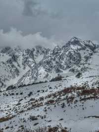 Breathing the Sky: A Calm Escape to Yak Meadow (牦牛坪) on Jade Dragon Snow Mountain