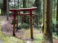 🇯🇵【愛媛県】四国88ケ所霊場第60番札所 石鈇山 福智院 横峰寺(^^)