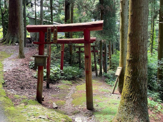 🇯🇵【愛媛県】四国88ケ所霊場第60番札所 石鈇山 福智院 横峰寺(^^)