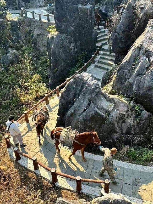 賀州好山好水好風景之旅