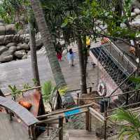 คาเฟ่ ภูเก็ต