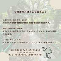 🇲🇴マカオ旅行者必携！マカオパスで移動が快適に✨