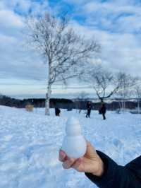 【北海道】網走天都山流冰館：俯瞰鄂霍次克海和世界自然遺產知床連峰
