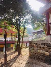 1박 2일 순천 여행 추천 코스: 자연과 전통이 어우러진 여유로운 여행 🌿