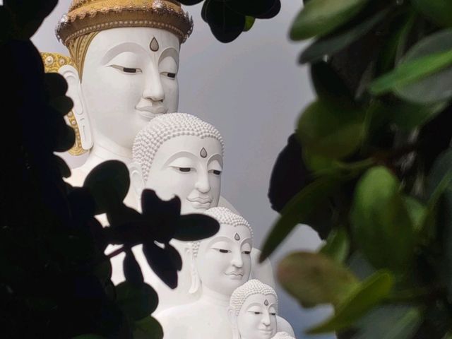 วัดพระธาตุผาซ่อนแก้ว @ เขาค้อ