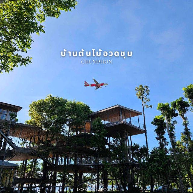 ’บ้านต้นไม้อวดชุม‘🏡✨☕️@ชุมพร 
