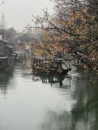 🌸 Wuzhen Trip Guide for March-April! Perfect 2 Days, 1 Night Itinerary for the Girls! 🌸