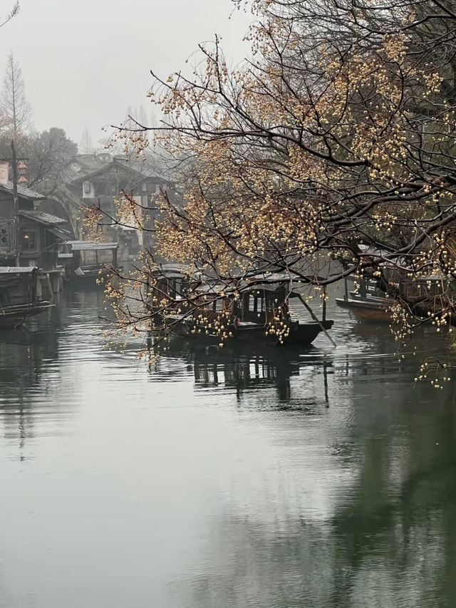 🌸 Wuzhen Trip Guide for March-April! Perfect 2 Days, 1 Night Itinerary for the Girls! 🌸