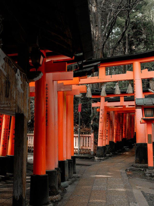 Fushimi Inari Taisha, Kyoto, Japan 🇯🇵 