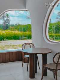 Bliss & Bloom Cafe 