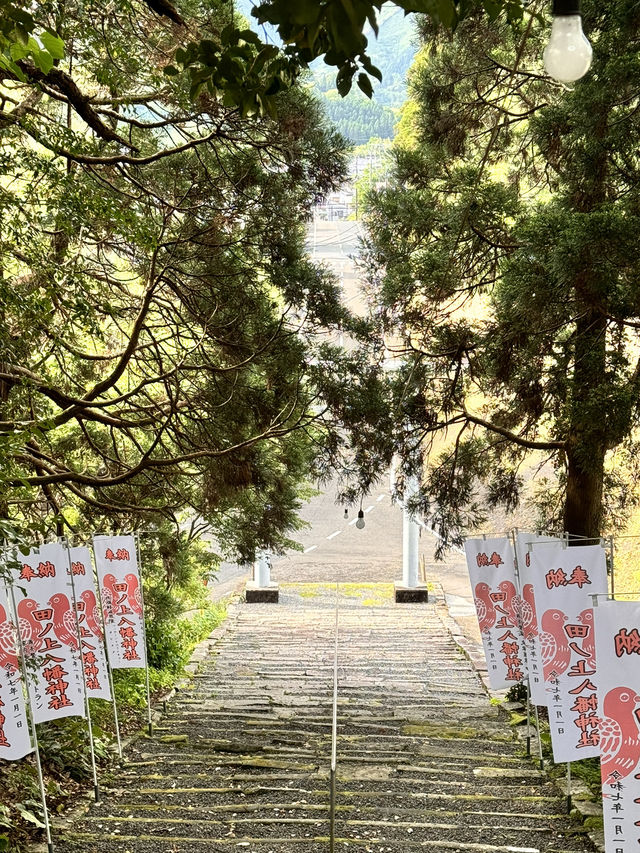飫肥八幡神社