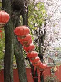 Trip to Zumiao, Foshan Itinerary 