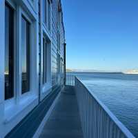 “Sausalito: Where the bay sparkles, the art flows, and life feels like a postcard.” ✨🌊⛵🎨🍷