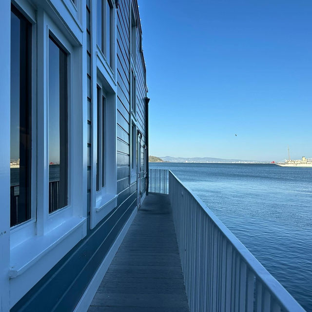 “Sausalito: Where the bay sparkles, the art flows, and life feels like a postcard.” ✨🌊⛵🎨🍷