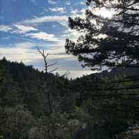 Mount Tamalpais State Park – Mill Valley, CA