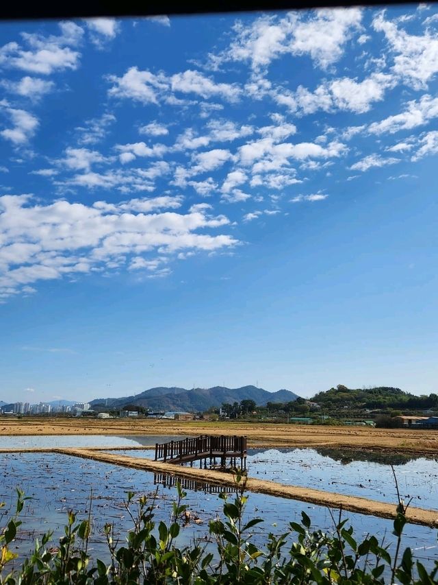 Exploring the Enchanting Charm of Busan, South Korea