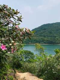 香港｜一路看海的快樂，大灘至海下郊遊徑 🌸