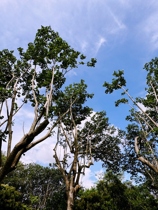 香港｜天水圍深度遊｜自然與社區綠洲
