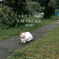 Houtong Cat Village