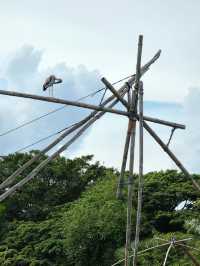 บางชาม