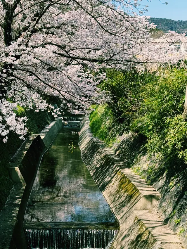 Osaka Transportation Guide｜Keihan Railway One-Day Pass Must-Visit Attractions