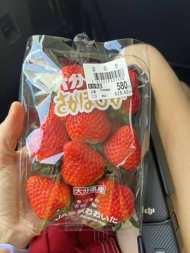 กินสตอเบอรี่ที่ฮอกไกโดกัน