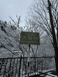 [JAPAN]🌲“Nikko” เมืองมรดกโลกกลางขุนเขา 🏔️