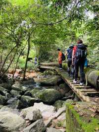 【Sebako Waterfall：穿越雨林，只為一場瀑布盛宴】 🌿🌊⛰️