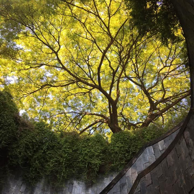 Fort Canning Morning & a Flaky Start at Tiong Bahru Bakery