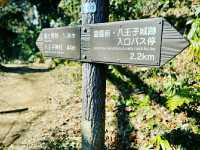 Hachiōji Castle Ruins – A Historical Hideaway in the Mountains of Tokyo