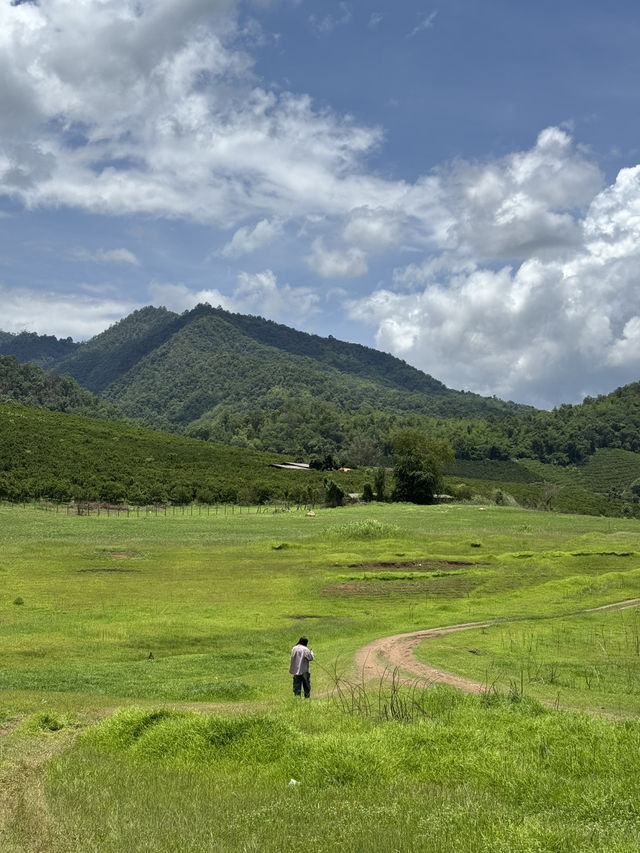 เขื่่อนบ้านลาน จ.เชียงใหม่ ⛰️🌳🌦️🐄