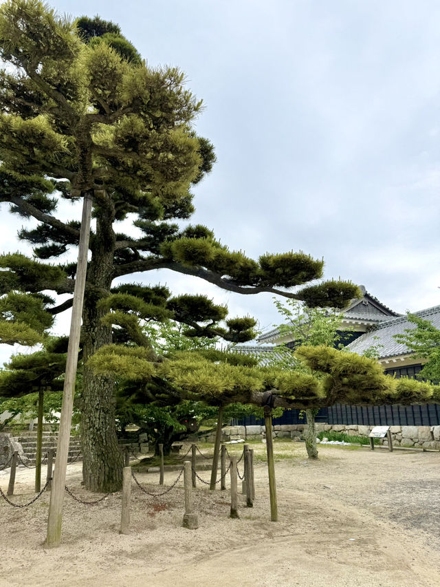 Riding Up to History – A Lift Adventure to Matsuyama Castle