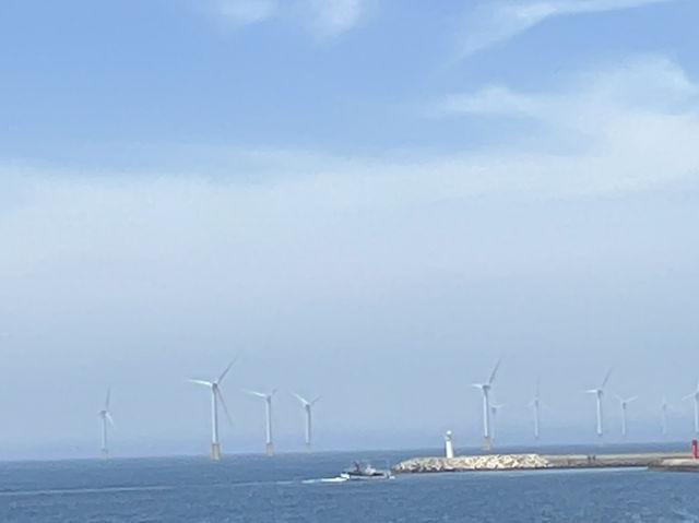 제주도 카페 투어 여행
