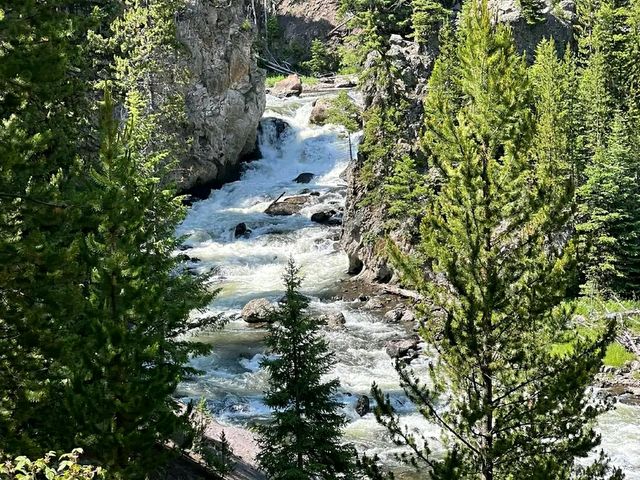 Timeless Wonder: Watching Old Faithful Erupt in Yellowstone