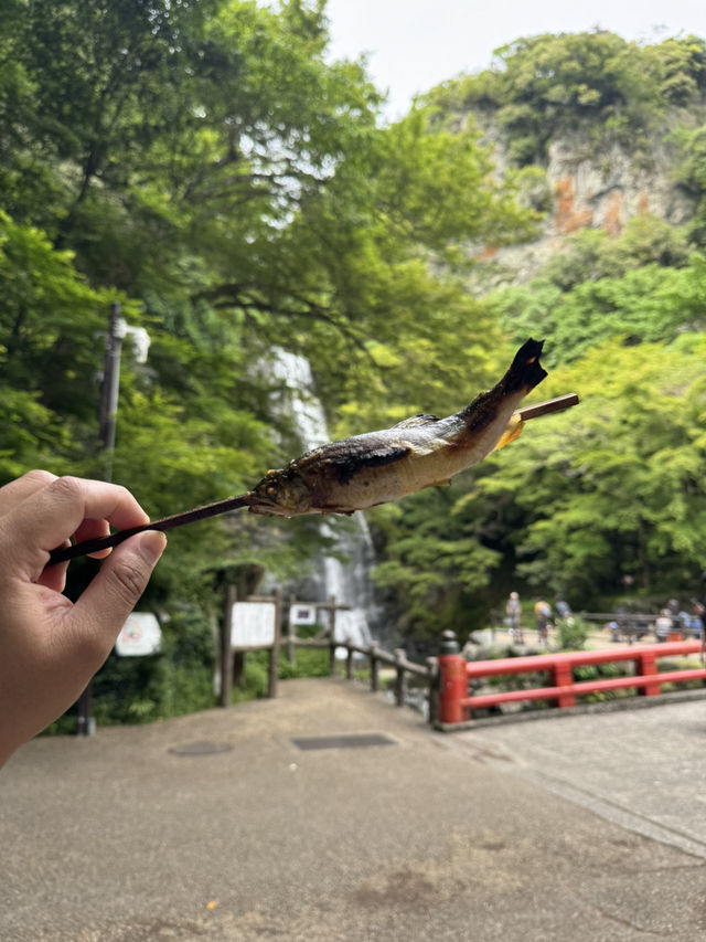 A Peaceful Escape to Minoh park.